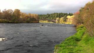 Grantown on Spey River Spey Scotland [upl. by Arlena]