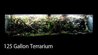 125 Gallon TerrariumVivarium  Anoles Firebellied Toads amp House Gecko [upl. by Giovanni]