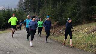 Whinlatter parkrun [upl. by Myrtice]