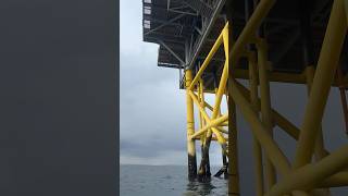 Fishing the Rampion Offshore Substation brighton lurefishing [upl. by Colinson462]