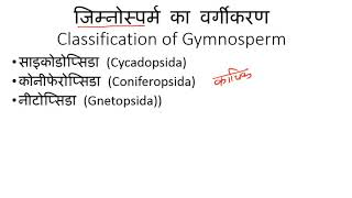 Classification of Gymnosperm Plants in Hindi  अनावृतबीजी पादपों का वर्गीकरण [upl. by Nohsad616]