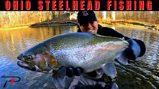 Northern Ohio Steelhead Fishing [upl. by Oglesby]