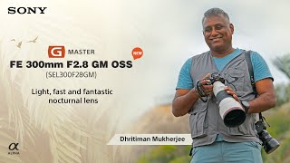 Sony FE 300mm F28 GM OSS A fantastic nocturnal lens  By Dhritiman Mukherjee [upl. by Hamian]