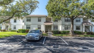 305 Windward Pl Oldsmar FL [upl. by Adarbil662]