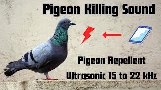 Anti Pigeon Repellents Sound  Keep Pigeons away  Ultrasonic sound 15 to 20Khz pigeon chasepigeon [upl. by Kiefer193]