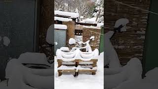 erster Wintereinbruch im Schwarzwald ❄️🏔️ Eiszapfen an meinem Wohnwagen 🤗 schneefall schwarzwald [upl. by Esinrahs]