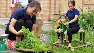 Harvesting Erythropalum Scandens Goes to market to sell  Make Toys For Children  Lý Phúc A [upl. by Ahsenauq]