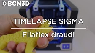 BCN3D SIGMA  FilaFlex  Draudi [upl. by Odraude]