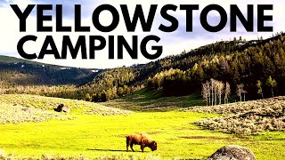 Yellowstone’s Best Campsites  10 Things You Need to Know [upl. by Pattie]