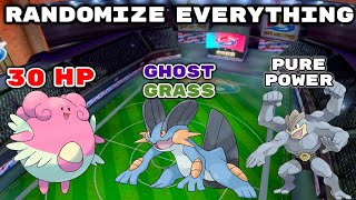 We Randomize EVERYTHING In Pokemon Sword and Shield Then We FIGHT [upl. by Aldos918]