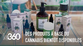 Cannabis légal les produits de SOMACAN bientôt commercialisés [upl. by Chariot]