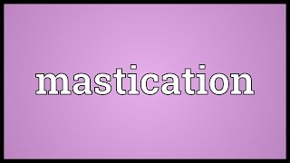 Mastication Meaning [upl. by Azaleah]