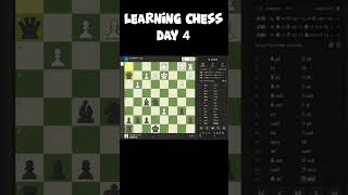 Brilliant Mid game strike lead to stunning checkmate finish [upl. by Rush692]