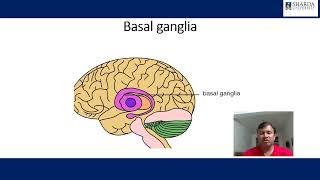 Basal ganglia [upl. by Hieronymus94]