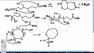 Lactone Ring Formations Part 2 [upl. by Bashemeth]