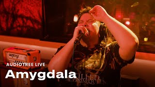 Amygdala  A Kind of Death in Life  Audiotree Live [upl. by Grefer]