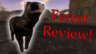 A Ferret Reviews A Mod [upl. by Olag]