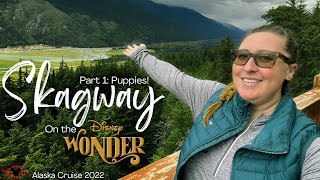 Puppies And More at Skagway Mushers Camp  2022 Disney Wonder Alaska Cruise Vlog [upl. by Ty243]