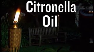 How to Use Citronella Oil [upl. by Hairam]