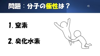 【化学】【極性】猫が出す化学の問題なのです（混成軌道24） [upl. by Kreitman]