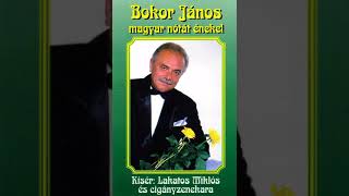 Bokor János  Rongyos Csárda [upl. by Tenner]