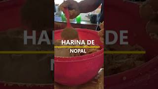 TORTILLAS DE NOPAL WOWWWWWWW [upl. by Adnesor]