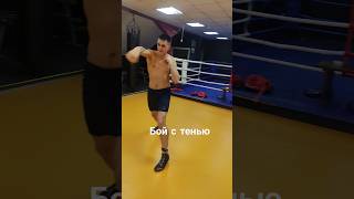 Бой с тенью бокс boxingtraining boxing спорт boxingexercise [upl. by Akemhs]