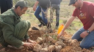 Consejos para plantar árboles en zonas áridas [upl. by Motteo]