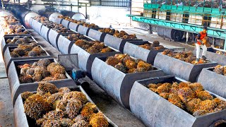 How Palm Oil Is Made In Factory  Palm Harvesting amp Processing Technology  Palm Oil Factory [upl. by Smart]