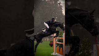 Showjumping horse horseedits equestrian horseing edit showjumping [upl. by Oric870]