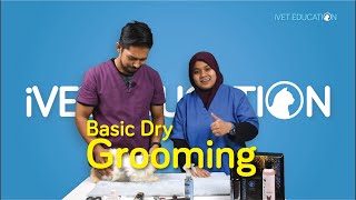 iVET EDUCATION Basic Dry Grooming by Dr Ku Atiqah amp Aiman [upl. by Amadas174]