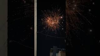 MELA SONY VINAYAGA SKYSHOTS😍Testing Crackers Diwali Stash 2024 🎆 patakhe crackers nagpal amp sons [upl. by Nyroc]