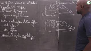 Cours  Terminale S  SVT  Les réflexes innés ou absolus  Support anatomique  M Gnasse [upl. by Elad]