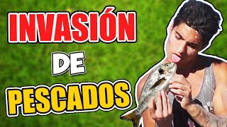 INVASIÓN DE PESCADOS [upl. by Lyrem935]