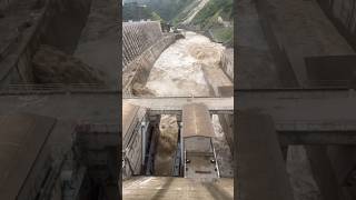 huge flood release by dam gates openings2k24 [upl. by Worsham]