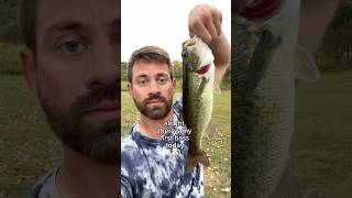 Fishing at Turtlehead Lake 🎣 🐢 fishing fishinglife fishingvideo fishingtrip fishingadventure [upl. by Kassel71]