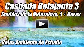 Relajante Catarata Meditación Relajación Naturaleza Sonidos de Agua Estudio Ruido Blanco Ambiente [upl. by Koa560]