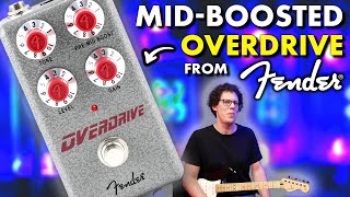 Fender Hammertone Overdrive  Reviewing ALL the Hammertone Pedals 2 of 9  Is it a TubeScreamer [upl. by Yeoz]