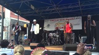 Whos Bad Michael Jackson Tribute Band Florence SC [upl. by Ecnahs]