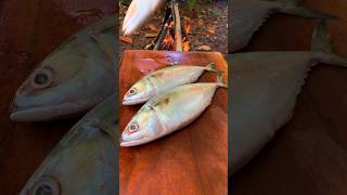 Mackerel Frying fishing cooking food [upl. by Ahusoj]