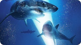 47 Meters Down Final Trailer  Mandy Moore Claire Holt HD [upl. by Elery]