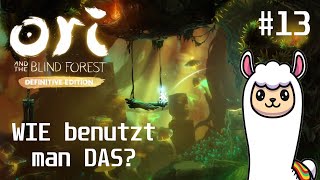 Da ist sogar die VERWIRRTHEIT VERWIRRT 😅 Ori and the Blind Forest 13 [upl. by Littell651]