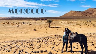 Morocco Horse Riding Expedition  The thrill of riding the renowned Barb horses [upl. by Lowrance]