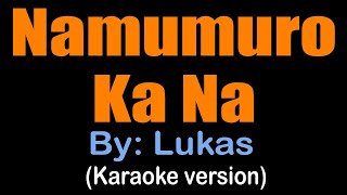 NAMUMURO KA NA Lukas karaoke version [upl. by Esch]