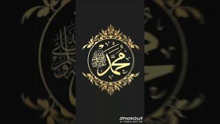 Yallah ya muhammad very beautiful videos islamic video [upl. by Beffrey448]