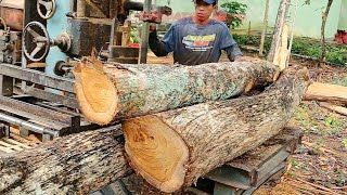 HAMPIR COPOT‼️Merajang Kayu Jati Yang KerasBahan Balok 7×12Gergaji Rakian [upl. by Stedman]