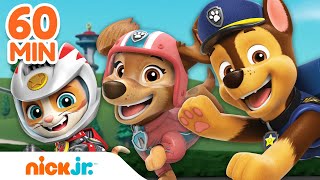 PAW Patrol Pups Unite for Rescues w Chase Cat Pack amp Tracker  1 Hour Compilation  Nick Jr [upl. by Chick]