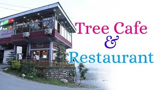 Tree Cafe and Restaurant  Thano  Raipur  Dehradun  Ekta Bisht Chauhan [upl. by Annelise]