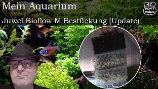 Juwel Bioflow M  Bestückung Update  Mein Aquarium 50 [upl. by Gothart145]