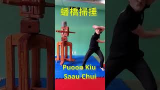 Choy Li Fut kung fu series 掃捶 Saau Chuiwith seizing or hook techniques kungfu choylifut [upl. by Boyce2]